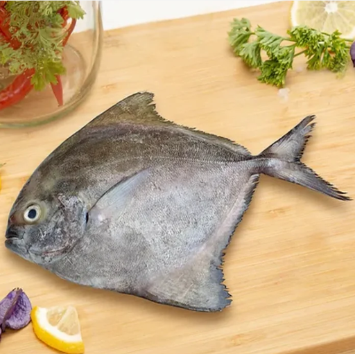 [1105] BLACK POMFRET / KARUTHA AVOLI / കറുത്ത ആവോലി (2-3PCS)