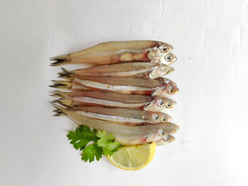 [1027] ANCHOVY / NETHOLI / നെത്തോലി (M)