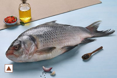 [6293] ASIAN CARP / CATLA /കട്‍ല (L)